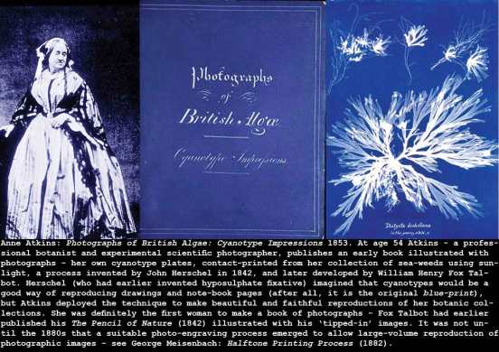atkins-cyanotypes_c