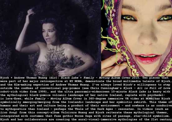 bjork-black-lake_c