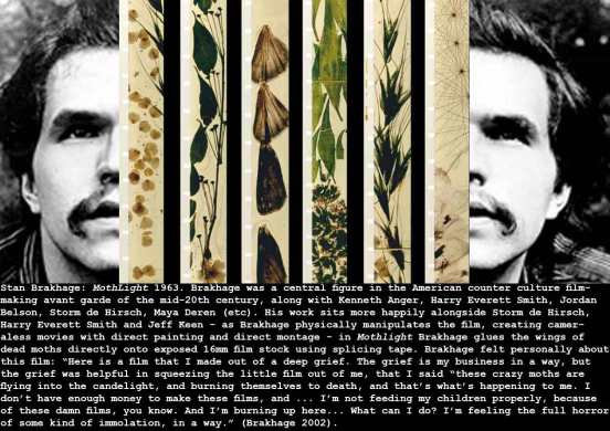 brakhage-mothlight_c