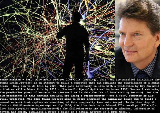 markham-blue-brain_2016_c