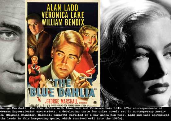 marshall-blue-dahlia_c