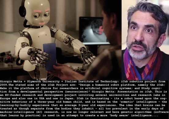 metta-icub-robot-project_c