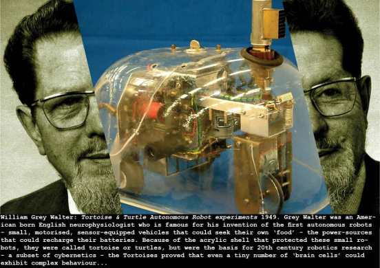 walter-turtle-robot_c