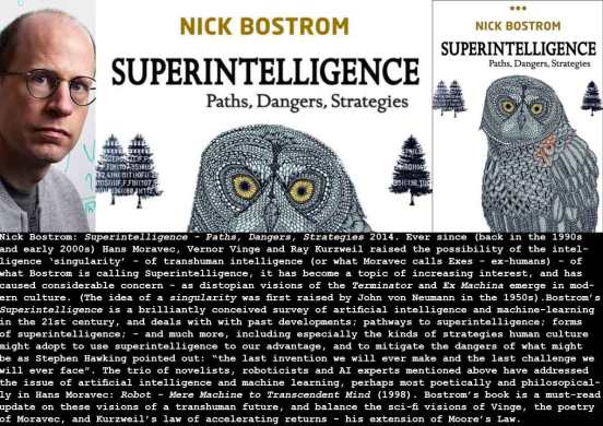 2014_Bostrom_Superintelligence_c