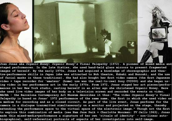 1972_Joan-Jonas_Organic-Honey_c